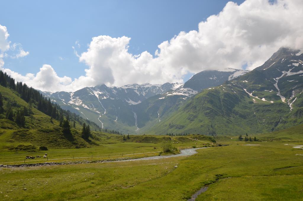 Winklers Gipfelblick Chalet, Inklusive Alpentherme - Ganzjaehrig, Gasteiner Bergbahn - Nur Sommer Bad Hofgastein Exterior photo